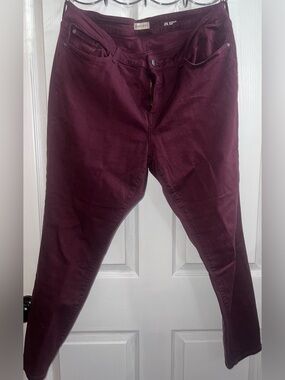 Warp + Weft Women's Skinny Jeans - Wine